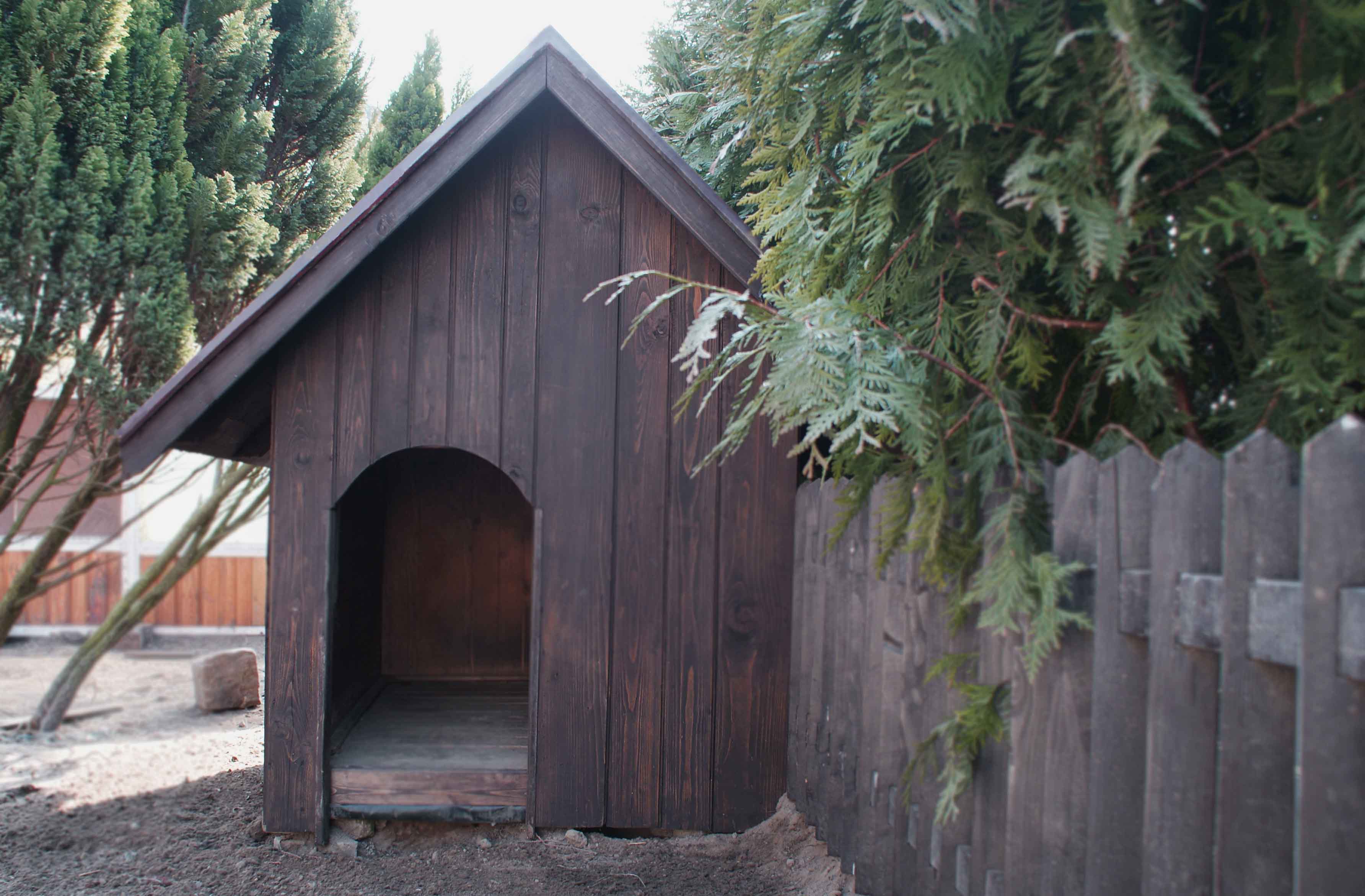 prosta buda ocieplana wielka buda dla bernardyna