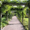 Pergola drewniana w połączeniu z roślinami pnącymi oraz odrobiną wysiłku może dać satysfakcję osobom ceniącym miejsca ustronne, tajemnicze i w pewnym sensie magiczne,